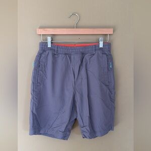 Birddogs Gray Men's Shorts